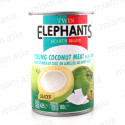 Chair de noix de coco au sirop 425g Twin Elephants