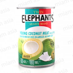 Chair de noix de coco au sirop 425g Twin Elephants