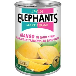 Mangue en tranche au sirop léger 425g Twin Elephants